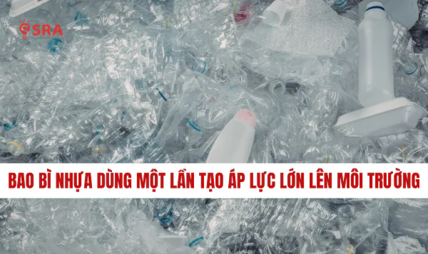 Bao bì nhựa dùng một lần tạo áp lực lớn lên môi trường, thúc đẩy xu hướng chuyển đổi sang vật liệu bền vững