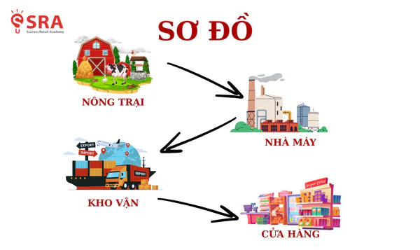 Tự chủ toàn bộ chuỗi cung ứng giúp Saizeriya kiểm soát chất lượng, giảm chi phí và duy trì biên lợi nhuận ổn định