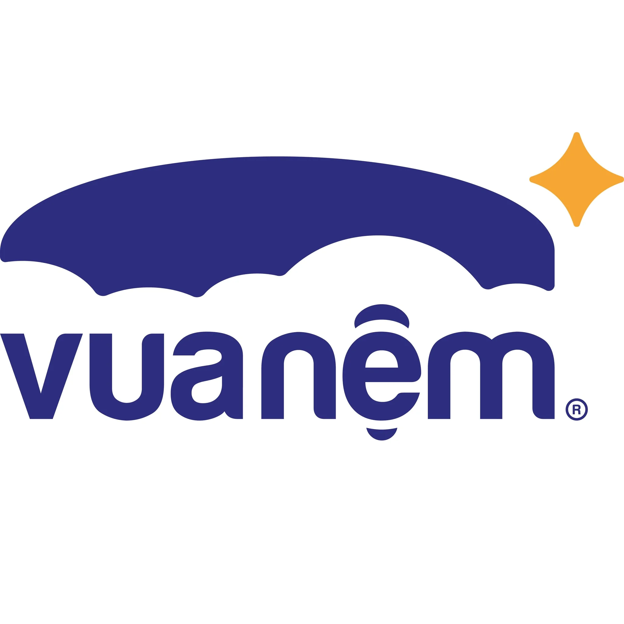 Logo Vua Nệm